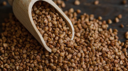 <b>Toad in the hole</b> aus Buchweizen
                  