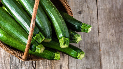 <b>Zucchini</b>lasagne
                  