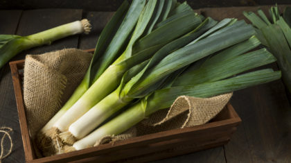 <b>Buntes</b> Omelett mit Lauch und Tomaten
                  