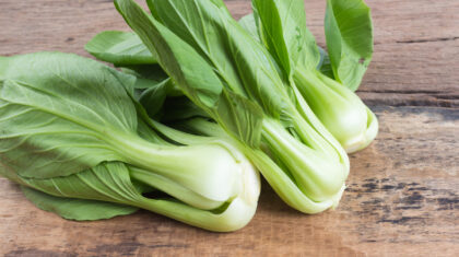 <b>Lachsfilet </b>mit Cremespinat und Pak Choi
                  