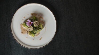 <b>Wirsingroulade</b> mit Stilfser Käse&nbsp;
                  
