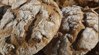 <b>Pusterer </b>Breatl
                  