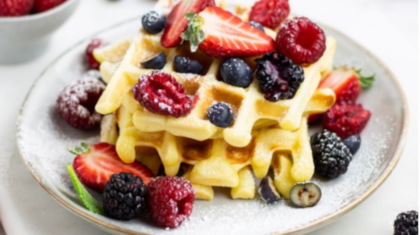 <b>Joghurt-Waffeln</b> mit Waldfrüchten
                  